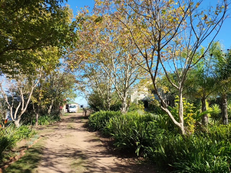 12 Bedroom Property for Sale in Friemersheim Western Cape